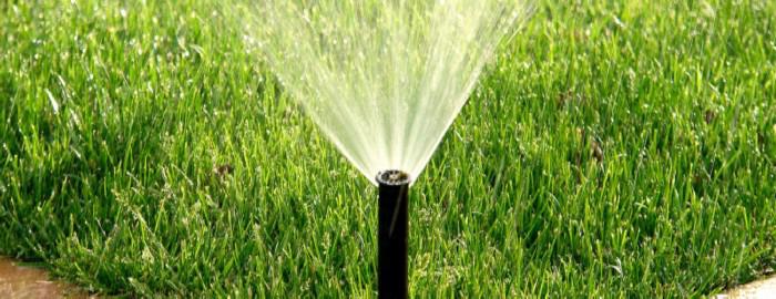 How Long to Water Grass Seed With Sprinkler Heads