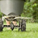 Should You Fertilize Your Lawn in the Spring