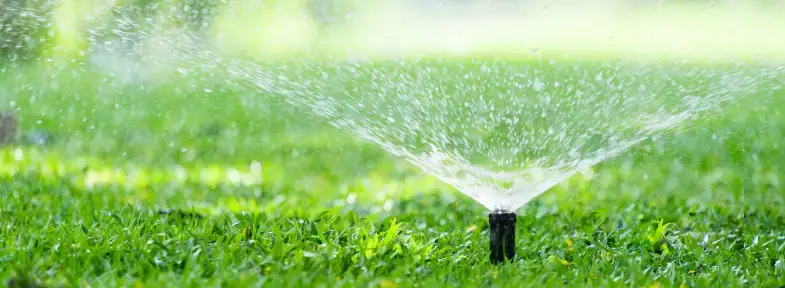 How Much Water Should An Irrigation System Use