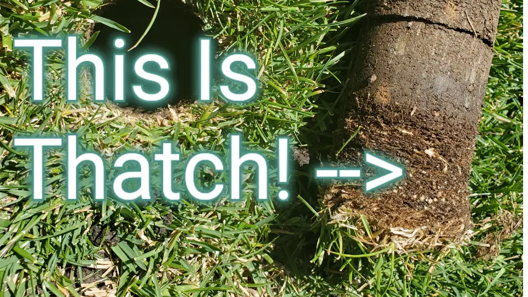 Why Your Lawn is Spongy, Soft, or Squishy » Turf Mechanic