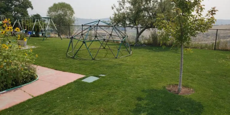 My Lawn 2021 Change Log - Turf Mechanic