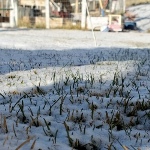 Guide to Lawn Care and Snow Management In Winter