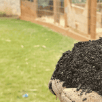 best biochar for lawns