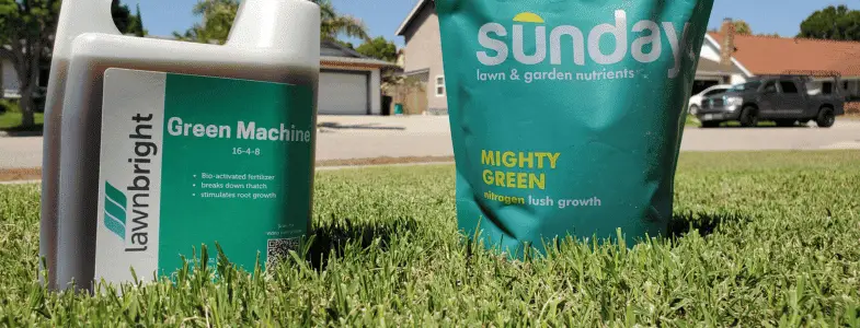 lawnbright vs sunday lawn care which is best
